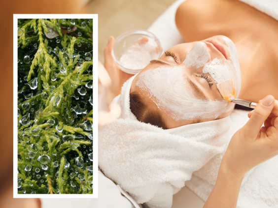 Peeling Kosmetik Dresden, Praxis Elb-Cosmetic